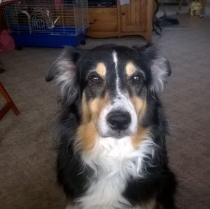 Meet your Posher, Lauralie